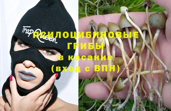 каннабис Инта