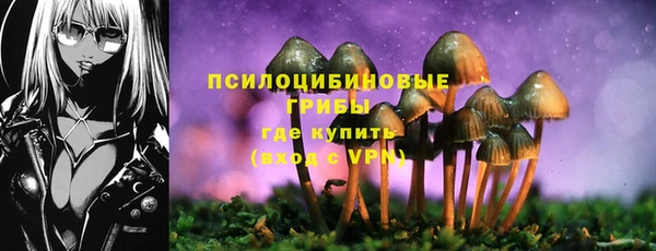 каннабис Инта