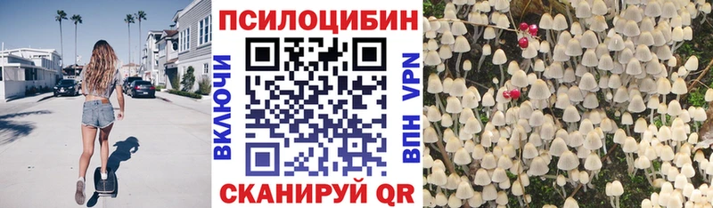 omg маркетплейс  Нестеров  Галлюциногенные грибы Magic Shrooms 