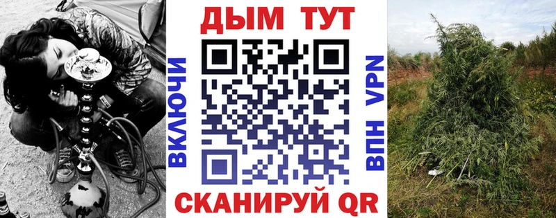 Каннабис White Widow  магазин продажи наркотиков  Нестеров 